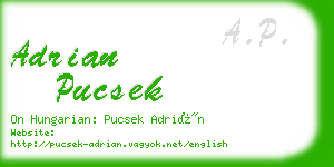 adrian pucsek business card